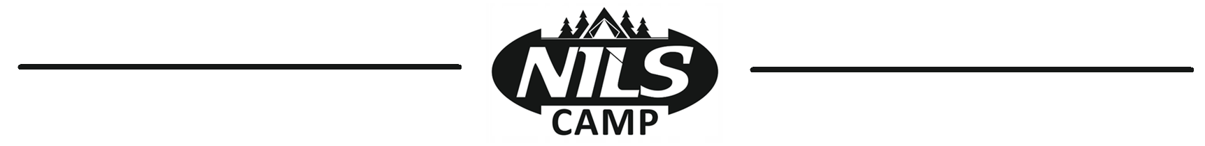 Nils logo.png